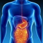Gastro-Intestinal Drugs